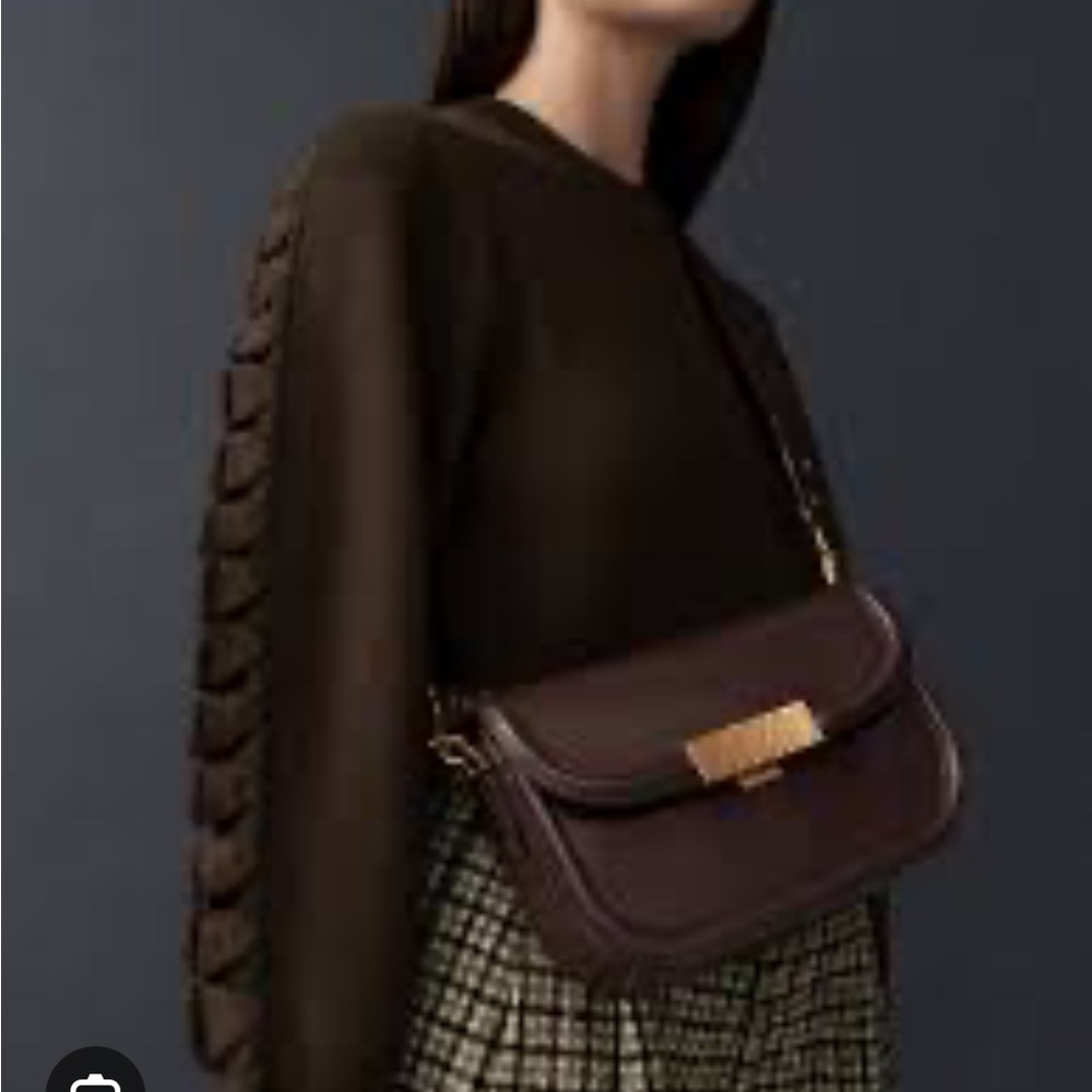 Charles & Keith Genevieve crossbody in Dark Oak
